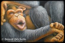 Chimpanzé coincé – Acrylique sur toile – 97 x 146 cm