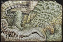 Crocodile coincé – Acrylique sur toile – 97 x 146 cm