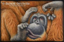 Orang-outan coincé – Acrylique sur toile – 97 x 146 cm