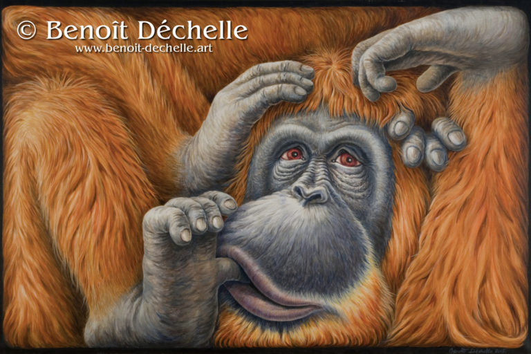Orang-outan coincé – Acrylique sur toile – 97 x 146 cm