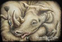 Rhinocéros coincé – Acrylique sur toile – 130 x 195 cm