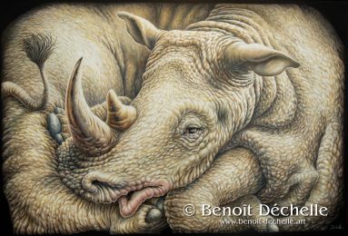 Rhinocéros coincé – Acrylique sur toile – 130 x 195 cm