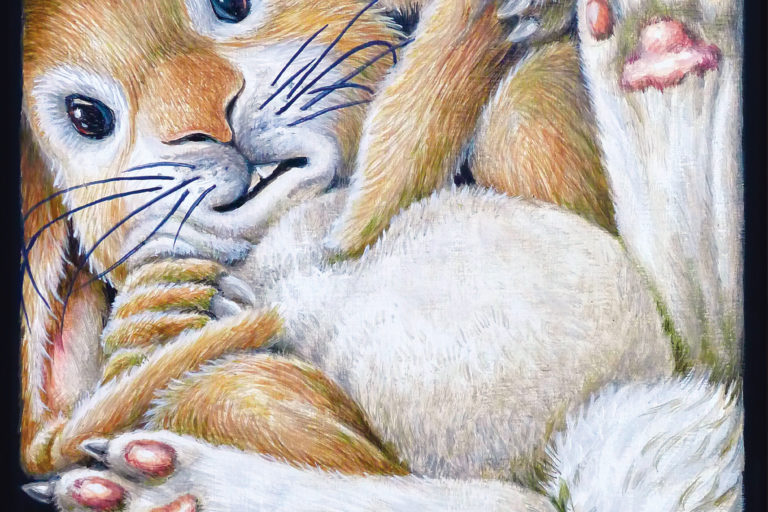 Lapin coincé – Acrylique sur toile – 20 x 20 cm