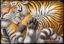 Tigre coincé - Acrylique sur toile - 81 x 116 cm