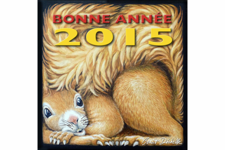 Voeux-2015©Benoit-Dechelle