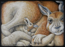 Kangourous coincés - Acrylique sur toile - 60 x 81 cm - Prix Finez-Planard au Salon des Artistes Français en février 2022.
