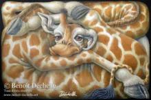 Girafe coincee-97x146-Benoit Dechelle